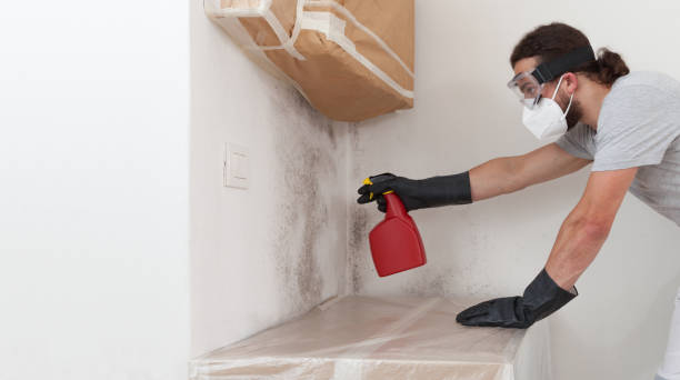 Professional Mold Removal technician working in Lancaster, TX